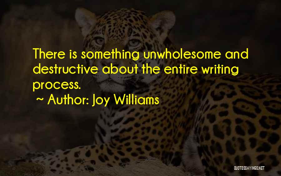 Joy Williams Quotes: There Is Something Unwholesome And Destructive About The Entire Writing Process.