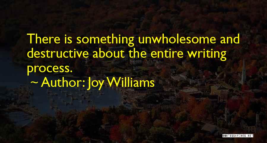 Joy Williams Quotes: There Is Something Unwholesome And Destructive About The Entire Writing Process.