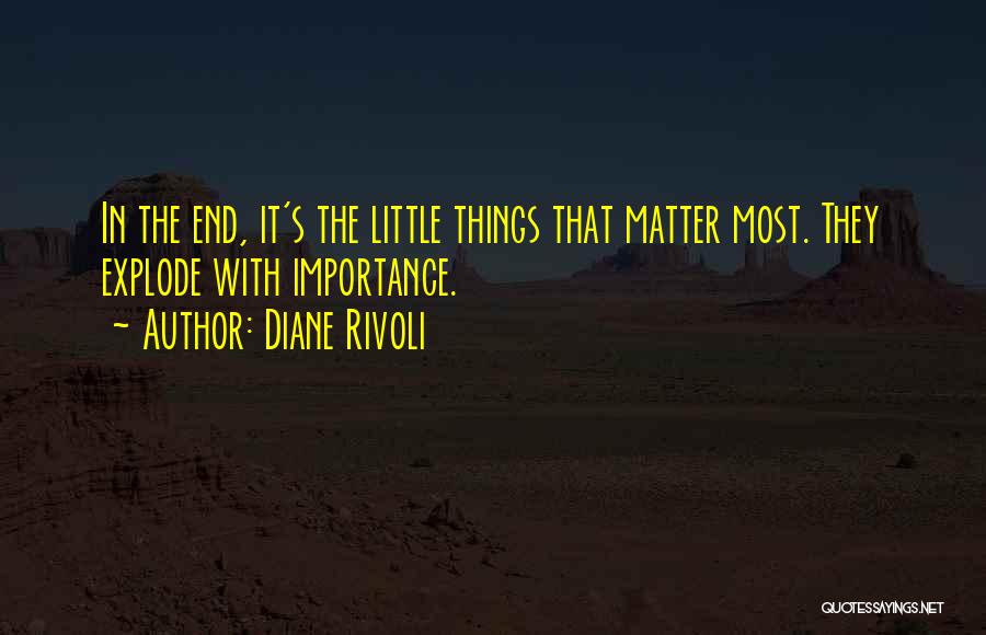 Diane Rivoli Quotes: In The End, It's The Little Things That Matter Most. They Explode With Importance.