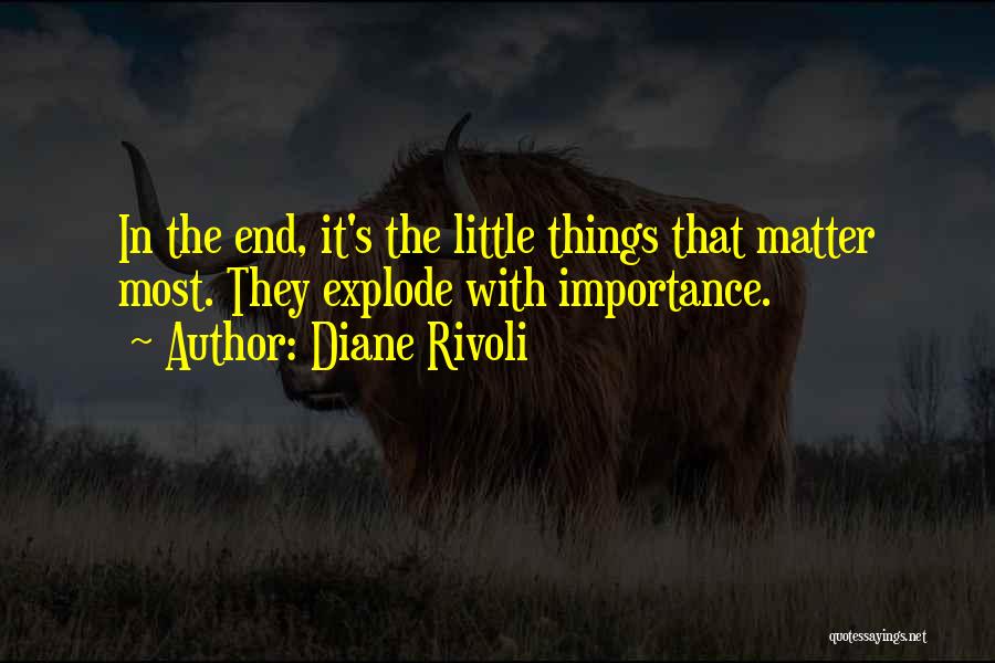 Diane Rivoli Quotes: In The End, It's The Little Things That Matter Most. They Explode With Importance.