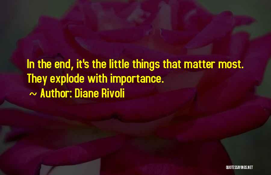 Diane Rivoli Quotes: In The End, It's The Little Things That Matter Most. They Explode With Importance.