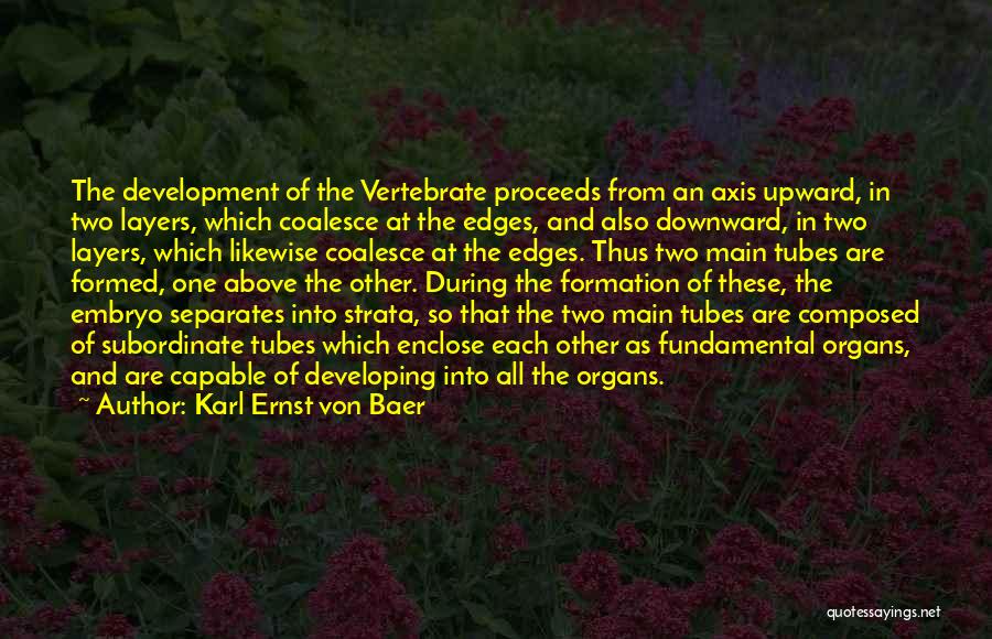 Karl Ernst Von Baer Quotes: The Development Of The Vertebrate Proceeds From An Axis Upward, In Two Layers, Which Coalesce At The Edges, And Also