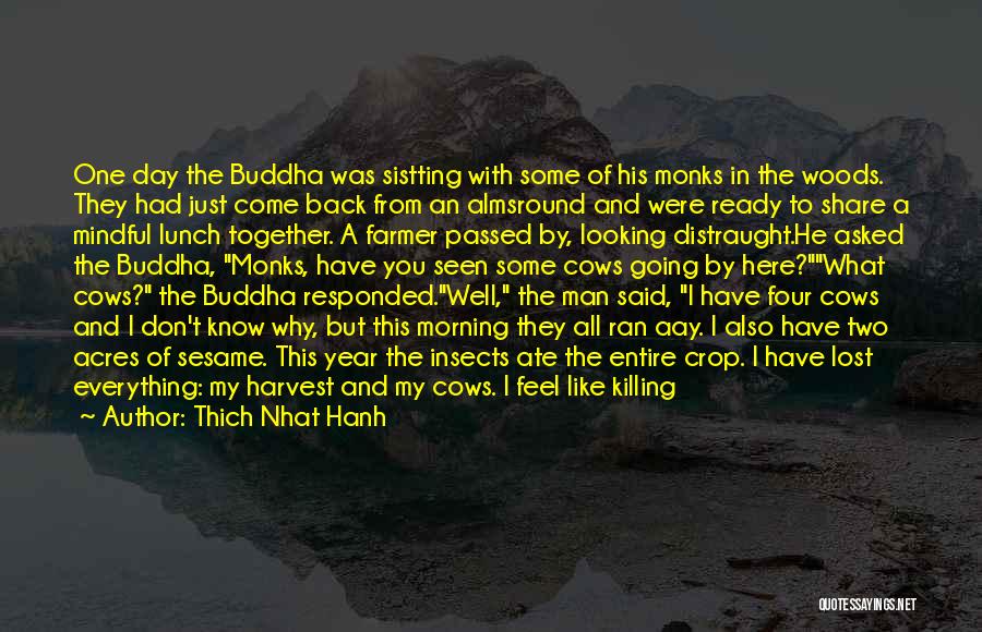 Thich Nhat Hanh Quotes: One Day The Buddha Was Sistting With Some Of His Monks In The Woods. They Had Just Come Back From