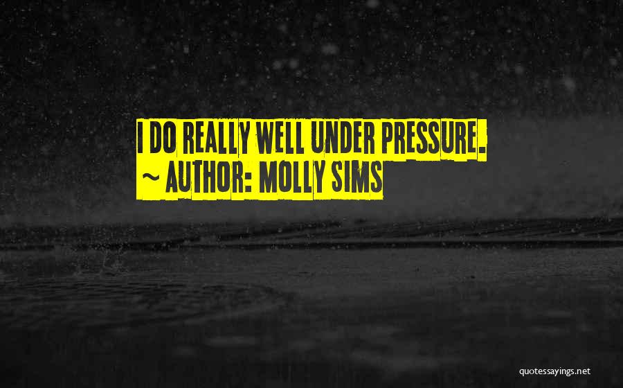 Molly Sims Quotes: I Do Really Well Under Pressure.