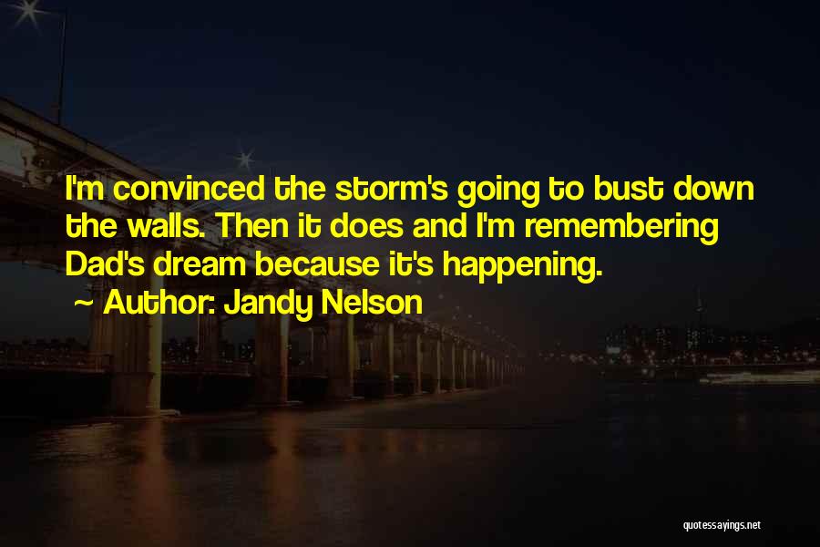 Jandy Nelson Quotes: I'm Convinced The Storm's Going To Bust Down The Walls. Then It Does And I'm Remembering Dad's Dream Because It's