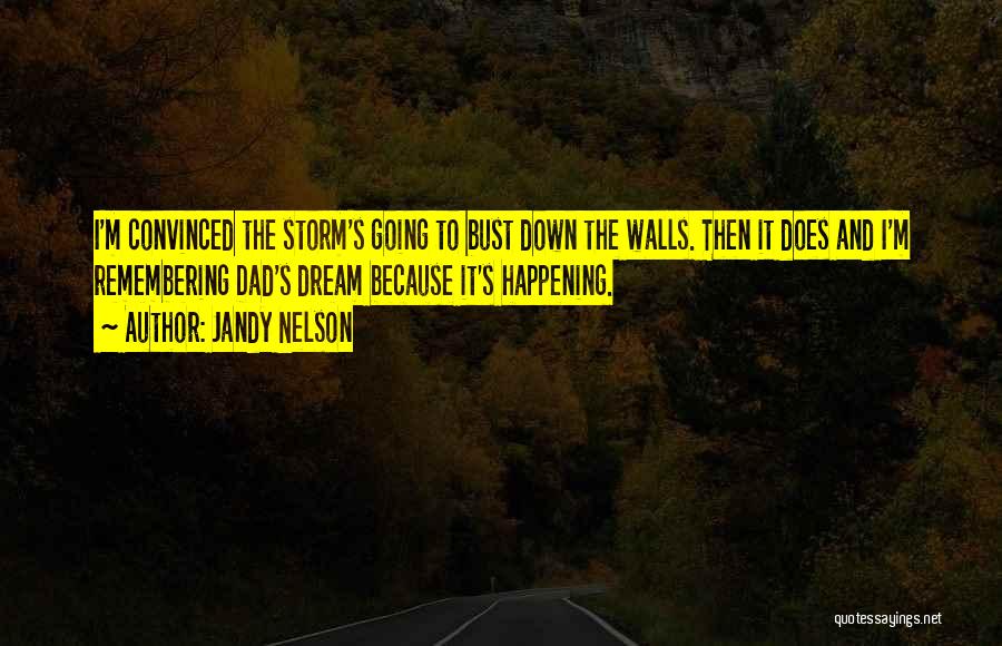 Jandy Nelson Quotes: I'm Convinced The Storm's Going To Bust Down The Walls. Then It Does And I'm Remembering Dad's Dream Because It's