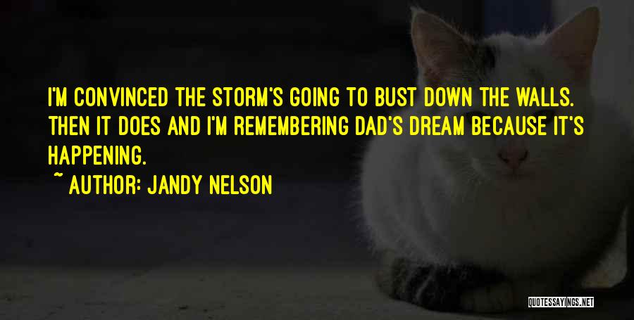 Jandy Nelson Quotes: I'm Convinced The Storm's Going To Bust Down The Walls. Then It Does And I'm Remembering Dad's Dream Because It's