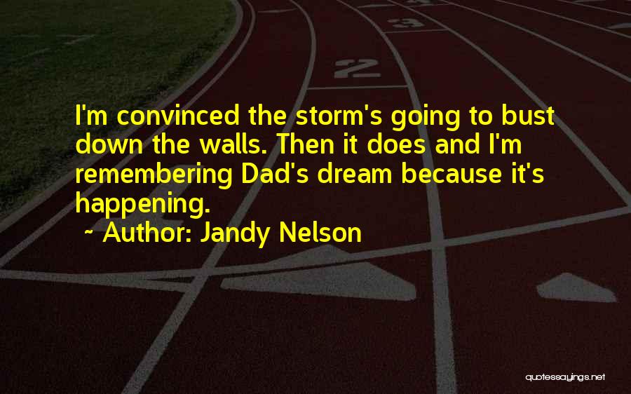 Jandy Nelson Quotes: I'm Convinced The Storm's Going To Bust Down The Walls. Then It Does And I'm Remembering Dad's Dream Because It's