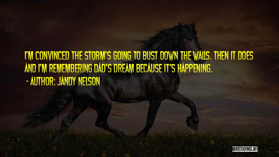 Jandy Nelson Quotes: I'm Convinced The Storm's Going To Bust Down The Walls. Then It Does And I'm Remembering Dad's Dream Because It's