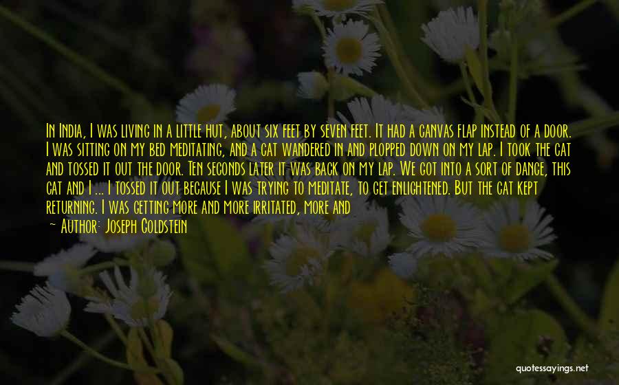 Joseph Goldstein Quotes: In India, I Was Living In A Little Hut, About Six Feet By Seven Feet. It Had A Canvas Flap