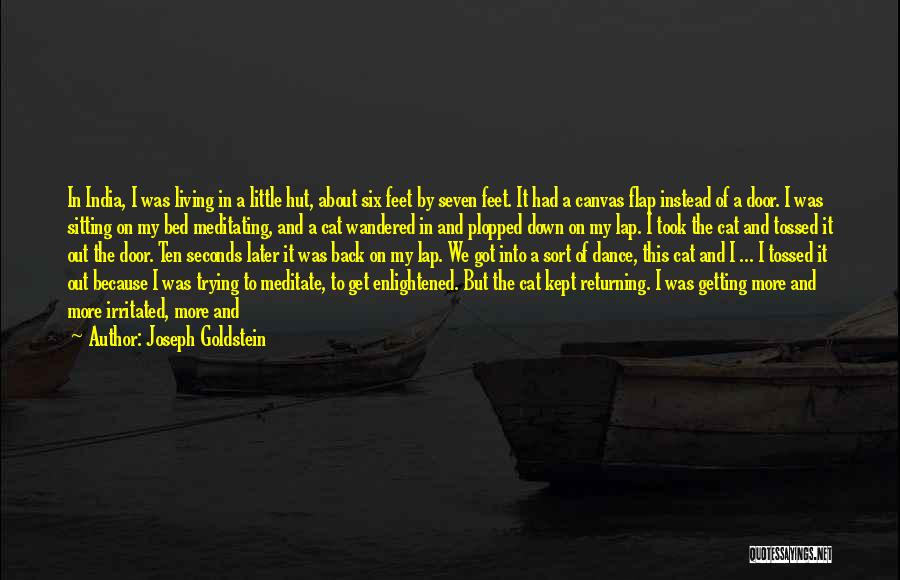 Joseph Goldstein Quotes: In India, I Was Living In A Little Hut, About Six Feet By Seven Feet. It Had A Canvas Flap