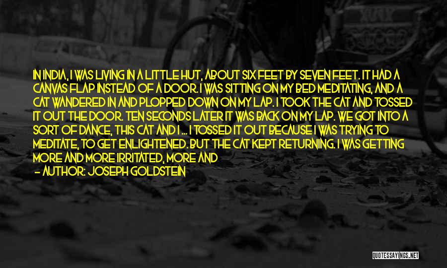 Joseph Goldstein Quotes: In India, I Was Living In A Little Hut, About Six Feet By Seven Feet. It Had A Canvas Flap