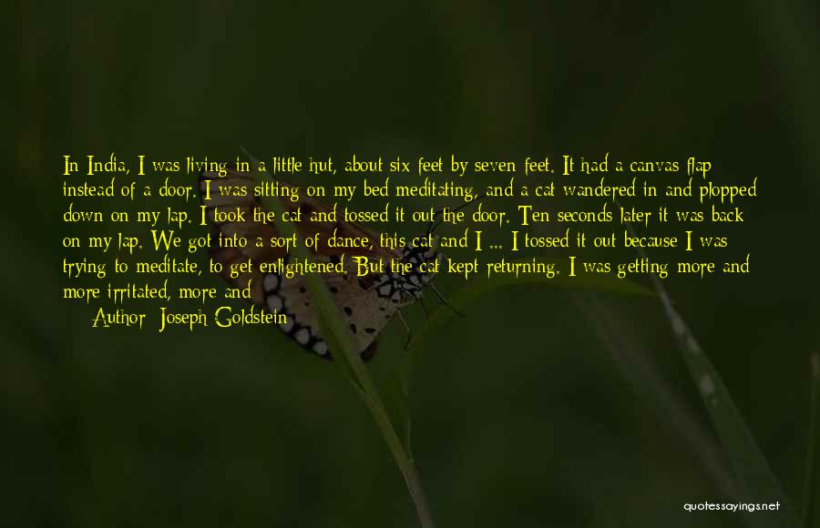 Joseph Goldstein Quotes: In India, I Was Living In A Little Hut, About Six Feet By Seven Feet. It Had A Canvas Flap