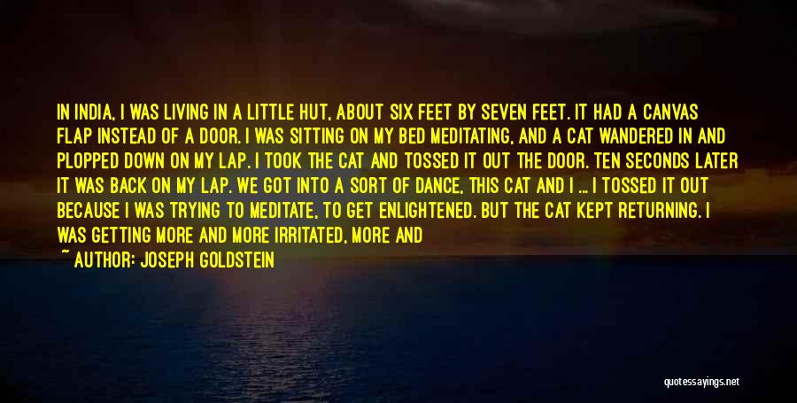 Joseph Goldstein Quotes: In India, I Was Living In A Little Hut, About Six Feet By Seven Feet. It Had A Canvas Flap