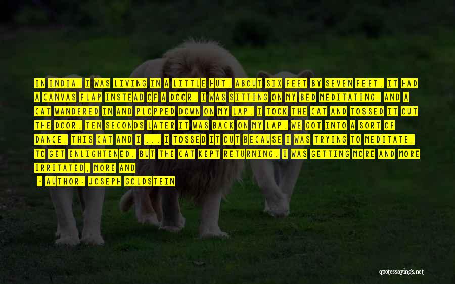 Joseph Goldstein Quotes: In India, I Was Living In A Little Hut, About Six Feet By Seven Feet. It Had A Canvas Flap