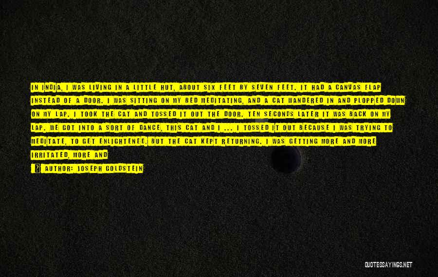 Joseph Goldstein Quotes: In India, I Was Living In A Little Hut, About Six Feet By Seven Feet. It Had A Canvas Flap