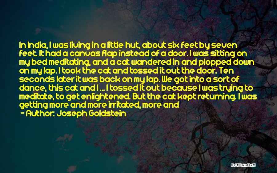 Joseph Goldstein Quotes: In India, I Was Living In A Little Hut, About Six Feet By Seven Feet. It Had A Canvas Flap