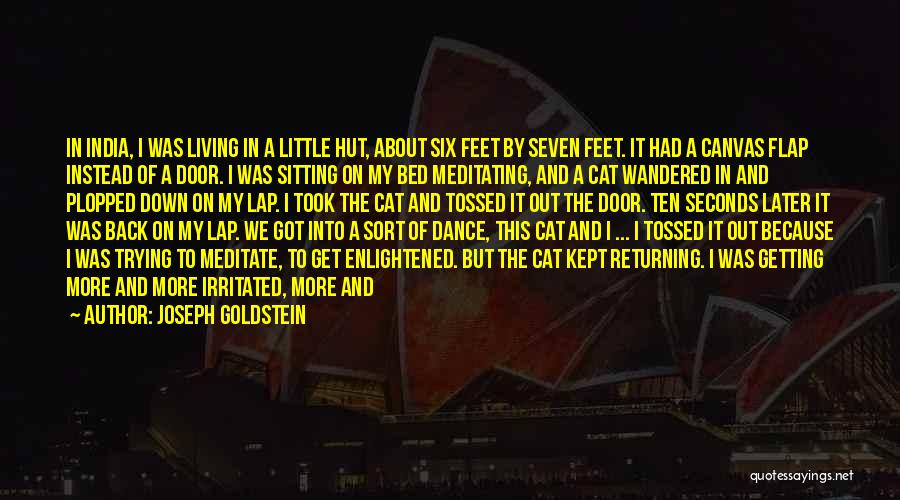 Joseph Goldstein Quotes: In India, I Was Living In A Little Hut, About Six Feet By Seven Feet. It Had A Canvas Flap