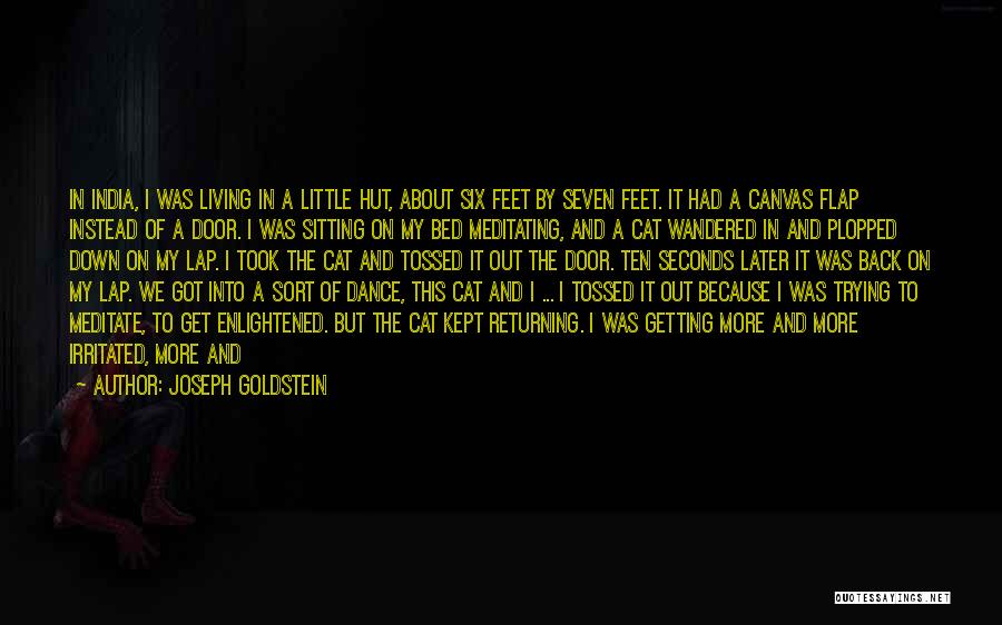 Joseph Goldstein Quotes: In India, I Was Living In A Little Hut, About Six Feet By Seven Feet. It Had A Canvas Flap