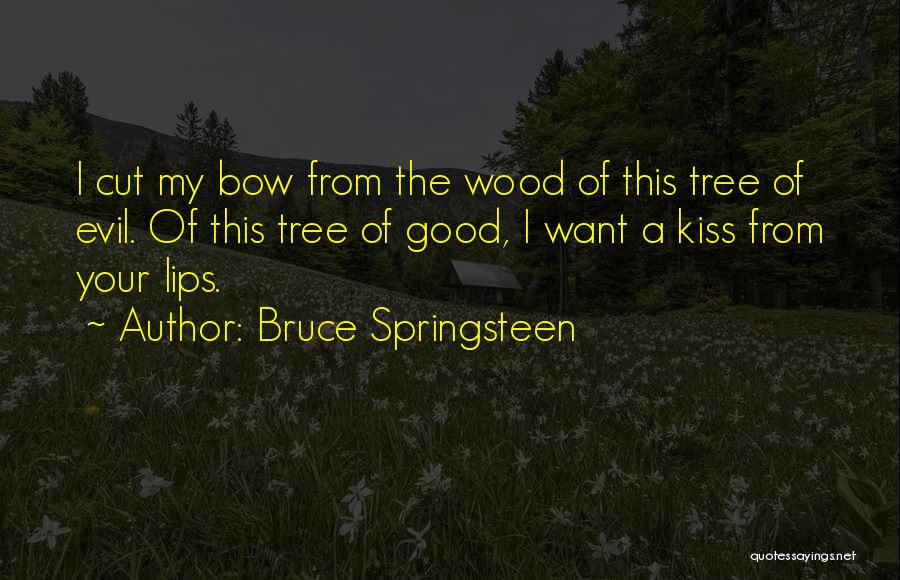 Bruce Springsteen Quotes: I Cut My Bow From The Wood Of This Tree Of Evil. Of This Tree Of Good, I Want A