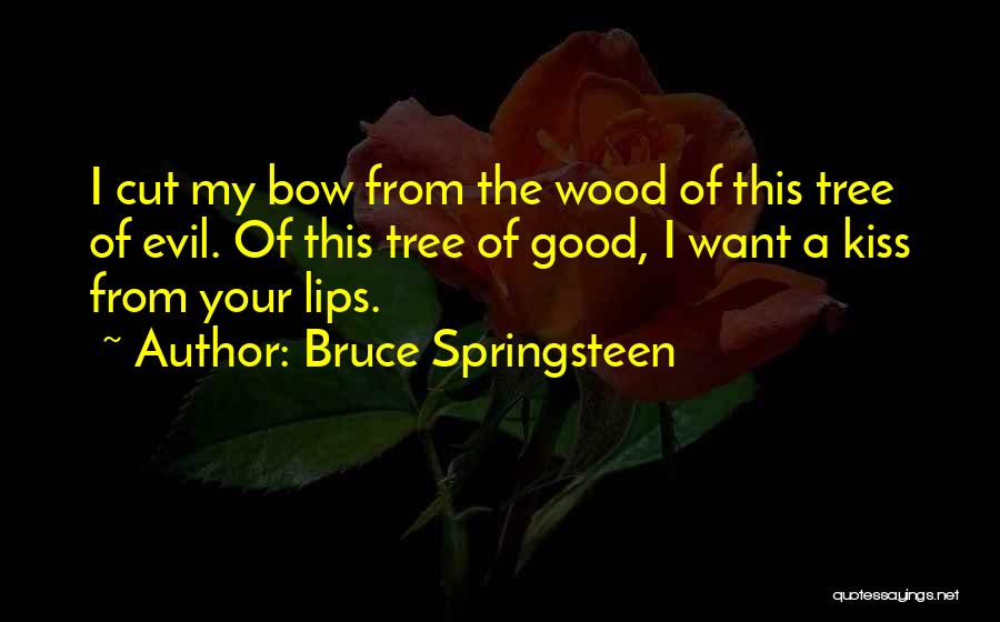 Bruce Springsteen Quotes: I Cut My Bow From The Wood Of This Tree Of Evil. Of This Tree Of Good, I Want A