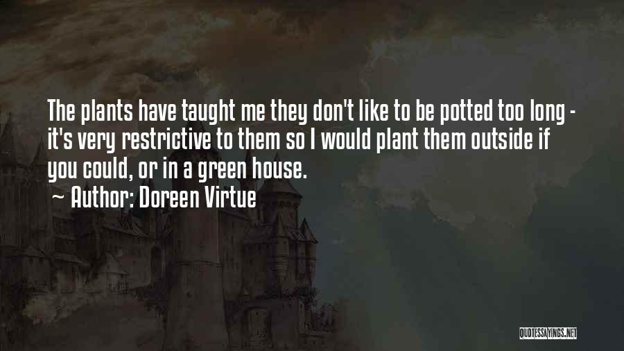 Doreen Virtue Quotes: The Plants Have Taught Me They Don't Like To Be Potted Too Long - It's Very Restrictive To Them So