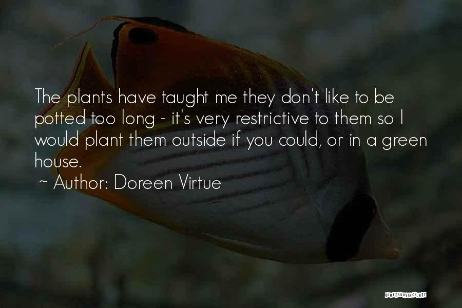 Doreen Virtue Quotes: The Plants Have Taught Me They Don't Like To Be Potted Too Long - It's Very Restrictive To Them So