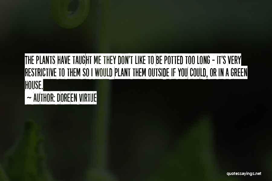 Doreen Virtue Quotes: The Plants Have Taught Me They Don't Like To Be Potted Too Long - It's Very Restrictive To Them So