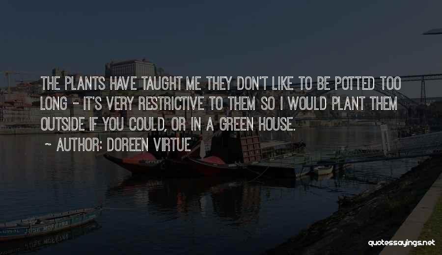 Doreen Virtue Quotes: The Plants Have Taught Me They Don't Like To Be Potted Too Long - It's Very Restrictive To Them So