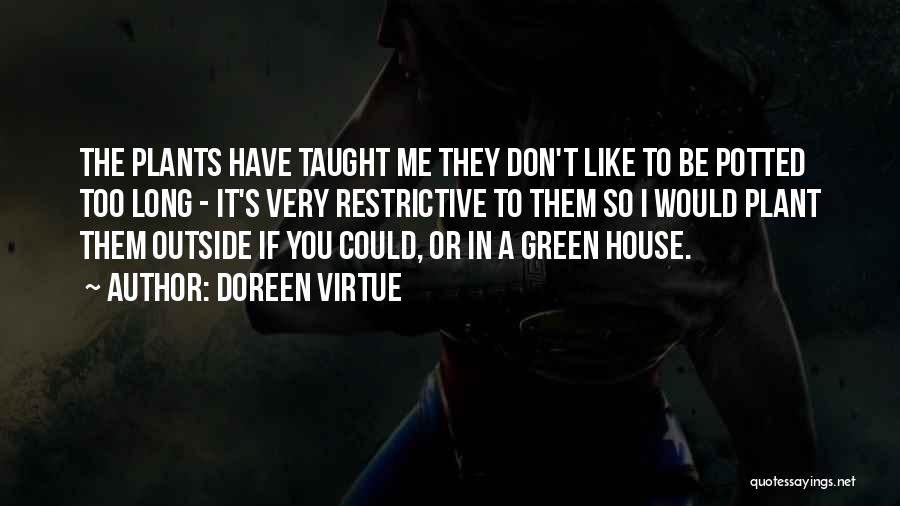 Doreen Virtue Quotes: The Plants Have Taught Me They Don't Like To Be Potted Too Long - It's Very Restrictive To Them So