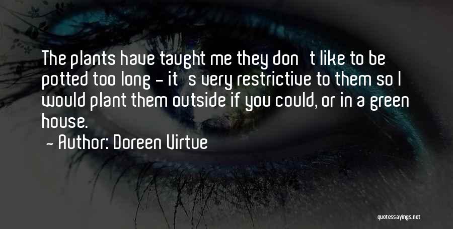 Doreen Virtue Quotes: The Plants Have Taught Me They Don't Like To Be Potted Too Long - It's Very Restrictive To Them So