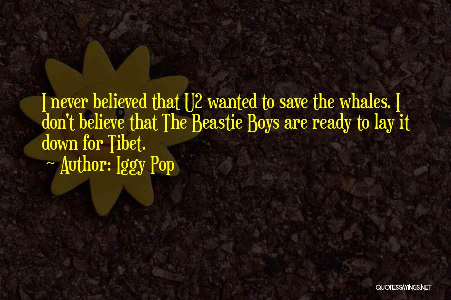 Iggy Pop Quotes: I Never Believed That U2 Wanted To Save The Whales. I Don't Believe That The Beastie Boys Are Ready To