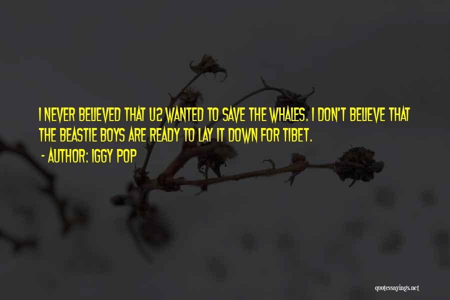 Iggy Pop Quotes: I Never Believed That U2 Wanted To Save The Whales. I Don't Believe That The Beastie Boys Are Ready To