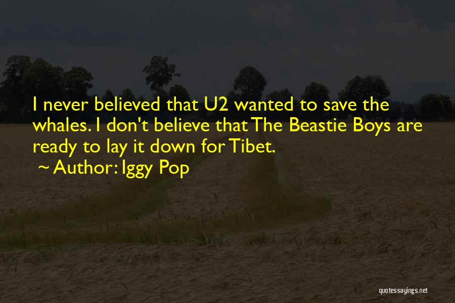 Iggy Pop Quotes: I Never Believed That U2 Wanted To Save The Whales. I Don't Believe That The Beastie Boys Are Ready To