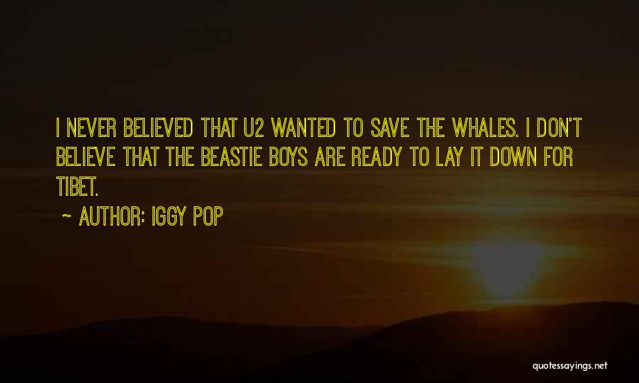 Iggy Pop Quotes: I Never Believed That U2 Wanted To Save The Whales. I Don't Believe That The Beastie Boys Are Ready To