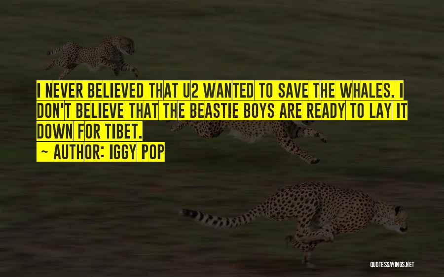 Iggy Pop Quotes: I Never Believed That U2 Wanted To Save The Whales. I Don't Believe That The Beastie Boys Are Ready To