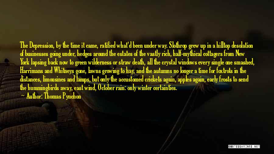 Thomas Pynchon Quotes: The Depression, By The Time It Came, Ratified What'd Been Under Way. Slothrop Grew Up In A Hilltop Desolation Of