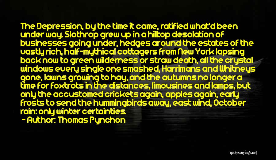 Thomas Pynchon Quotes: The Depression, By The Time It Came, Ratified What'd Been Under Way. Slothrop Grew Up In A Hilltop Desolation Of