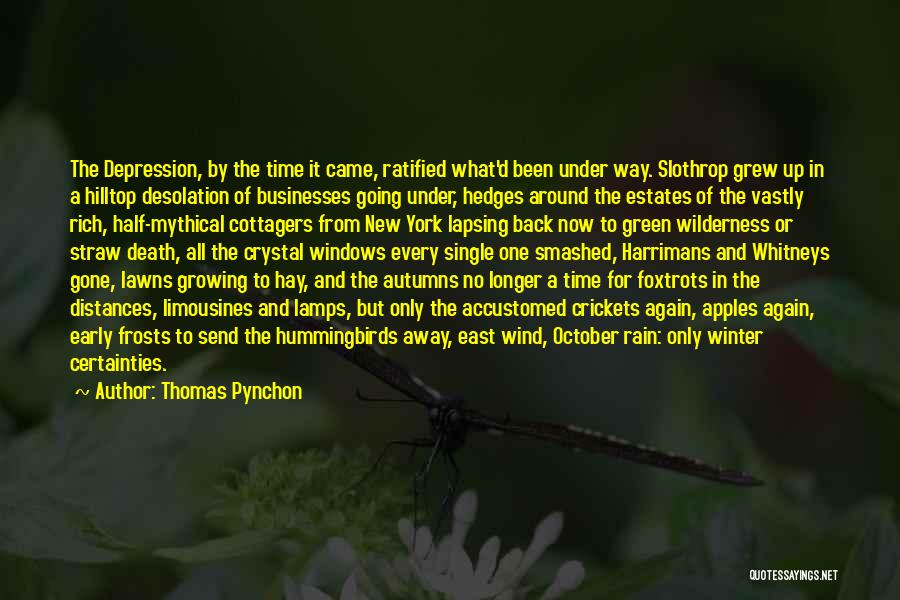 Thomas Pynchon Quotes: The Depression, By The Time It Came, Ratified What'd Been Under Way. Slothrop Grew Up In A Hilltop Desolation Of