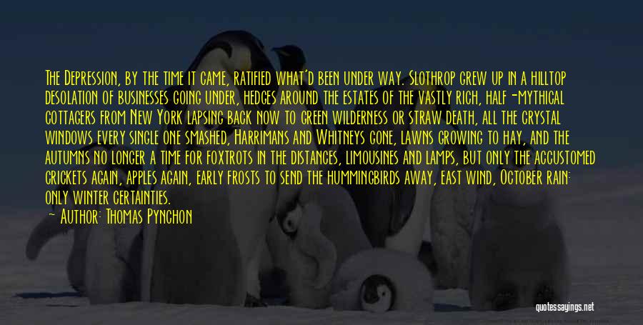 Thomas Pynchon Quotes: The Depression, By The Time It Came, Ratified What'd Been Under Way. Slothrop Grew Up In A Hilltop Desolation Of