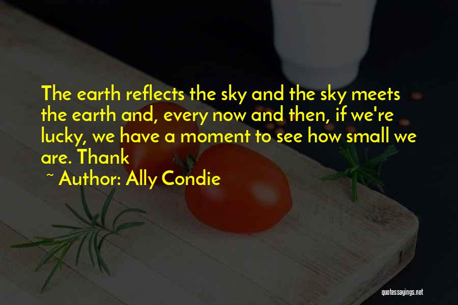 Ally Condie Quotes: The Earth Reflects The Sky And The Sky Meets The Earth And, Every Now And Then, If We're Lucky, We