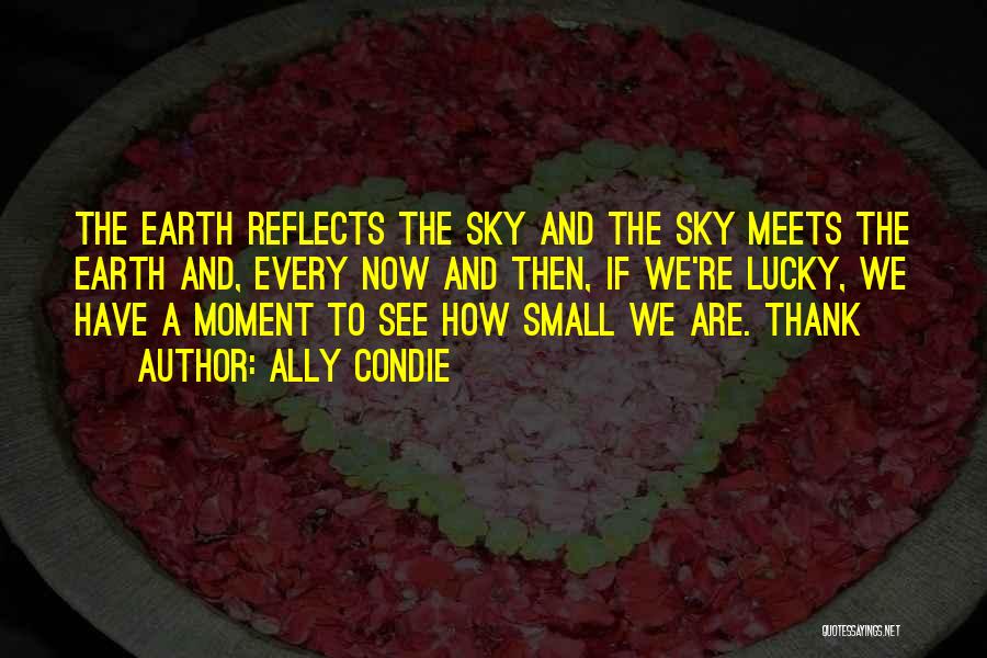 Ally Condie Quotes: The Earth Reflects The Sky And The Sky Meets The Earth And, Every Now And Then, If We're Lucky, We