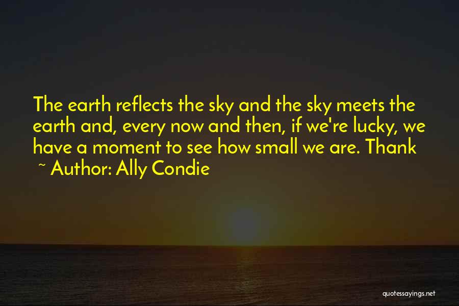 Ally Condie Quotes: The Earth Reflects The Sky And The Sky Meets The Earth And, Every Now And Then, If We're Lucky, We