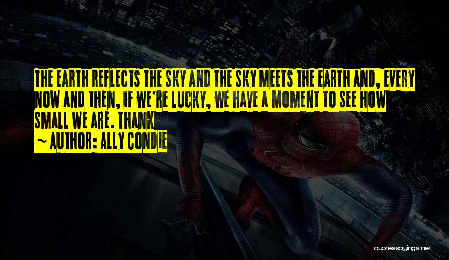 Ally Condie Quotes: The Earth Reflects The Sky And The Sky Meets The Earth And, Every Now And Then, If We're Lucky, We