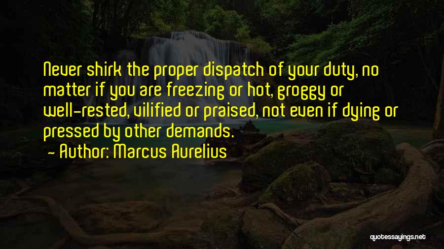 Marcus Aurelius Quotes: Never Shirk The Proper Dispatch Of Your Duty, No Matter If You Are Freezing Or Hot, Groggy Or Well-rested, Vilified