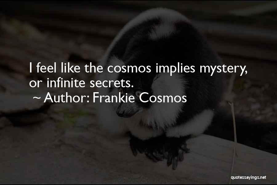 Frankie Cosmos Quotes: I Feel Like The Cosmos Implies Mystery, Or Infinite Secrets.