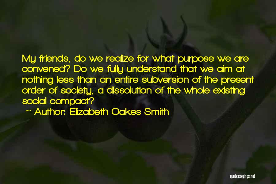 Elizabeth Oakes Smith Quotes: My Friends, Do We Realize For What Purpose We Are Convened? Do We Fully Understand That We Aim At Nothing