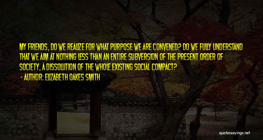 Elizabeth Oakes Smith Quotes: My Friends, Do We Realize For What Purpose We Are Convened? Do We Fully Understand That We Aim At Nothing