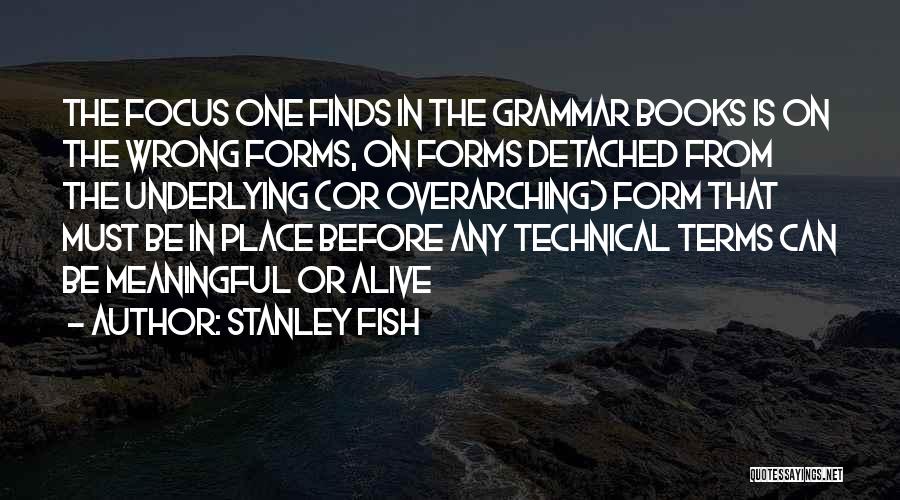 Stanley Fish Quotes: The Focus One Finds In The Grammar Books Is On The Wrong Forms, On Forms Detached From The Underlying (or