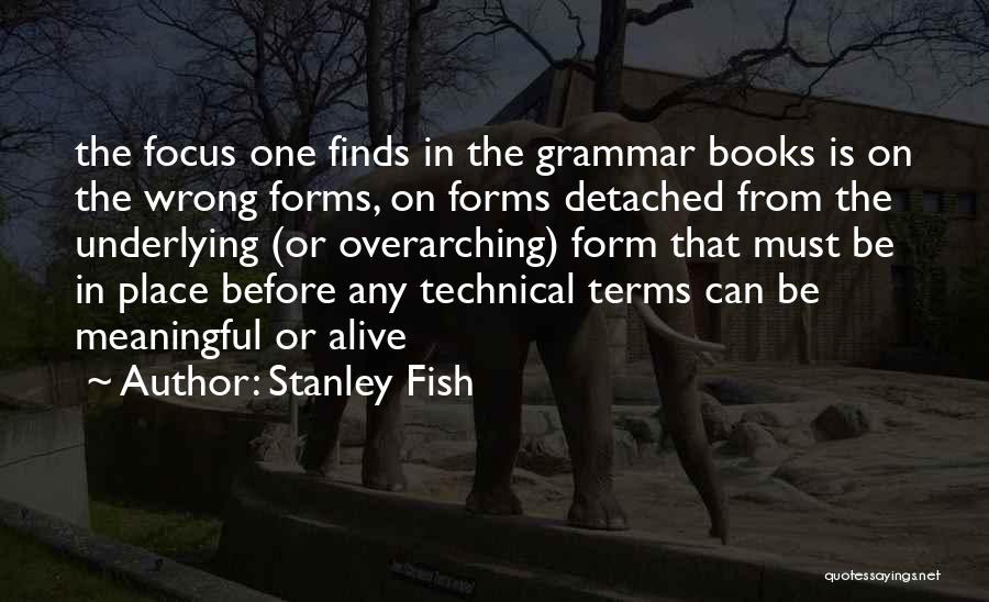 Stanley Fish Quotes: The Focus One Finds In The Grammar Books Is On The Wrong Forms, On Forms Detached From The Underlying (or